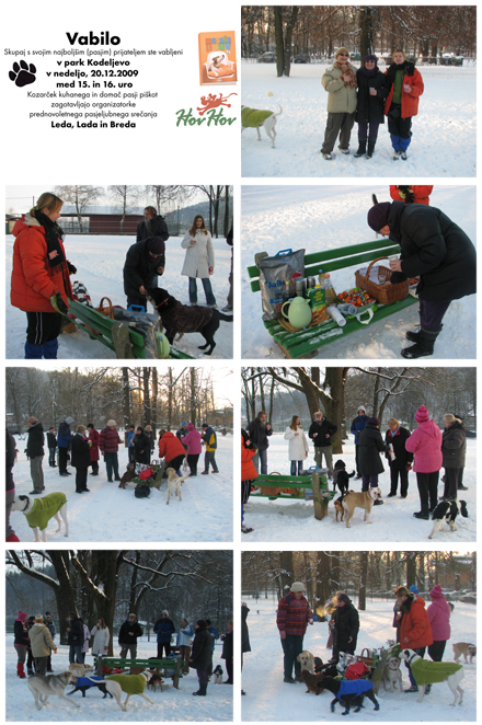 hov hov, Breda Kralj, Leda Zajc, Lada Zei, 2009, psi, sprehajanje psov, masaža psov, organizacija 